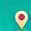 Address icon